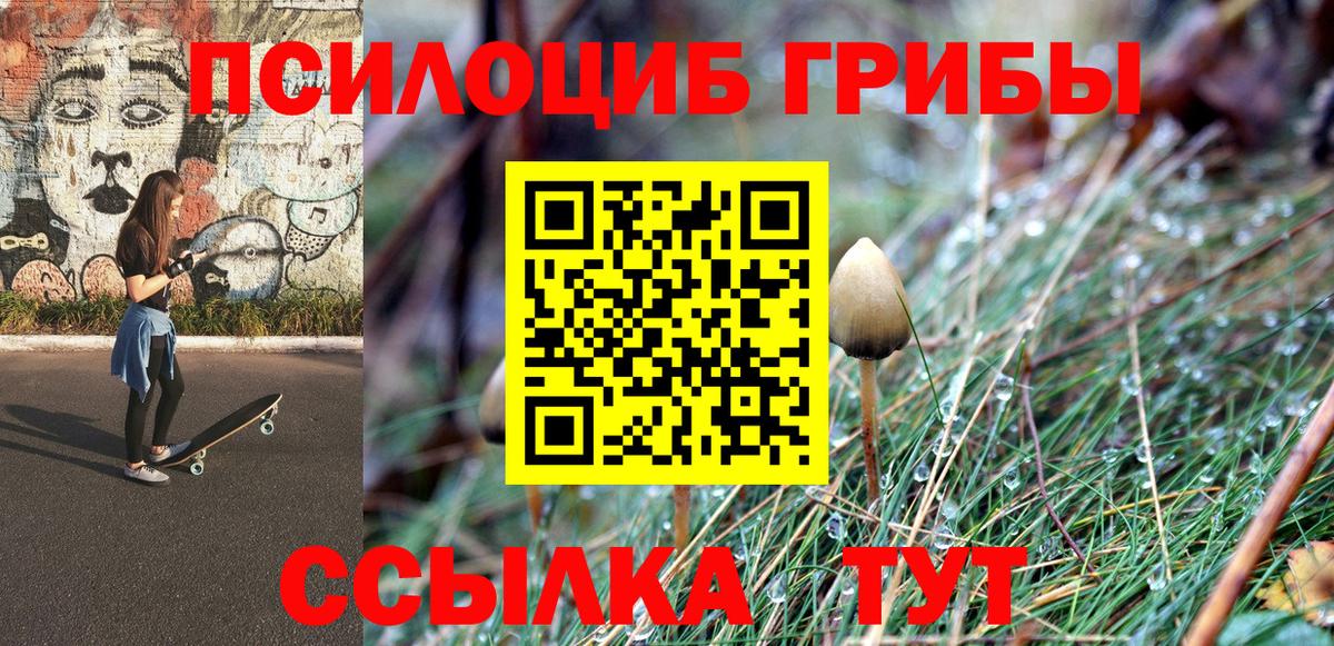 Отрадное  Галлюциногенные грибы Magic Shrooms  Псилоцибиновые грибы Psilocybine cubensis  Вход с VPN 